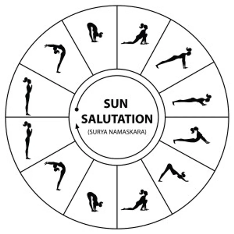 Sun Salutation 101